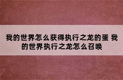 我的世界怎么获得执行之龙的蛋 我的世界执行之龙怎么召唤